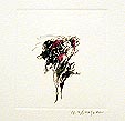 「バラ」