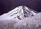 宮田圭展